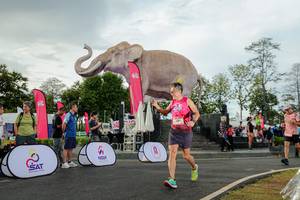 BIB: 
                            <button type="button" onclick="openModal(26528350)" class="btn btn-primary btn-sm float-right btn-popup" data-toggle="modal" data-target=".modal-high-quality">
                        <i class="fas fa-shopping-cart"></i> Add to Cart
                    </button>
                                            <button type="button" onclick="isThisMe(26528350, true)" class="btn btn-success btn-sm float-right btn-popup btn-isme hidden" data-toggle="tooltip" data-placement="bottom" title="นี่คือรูปของคุณใช่ไหม คลิกที่นี่เพื่อเอาเข้าอัลบั้ม">
                        <i class="fas fa-plus"></i> Add to album
                    </button>
                    <button type="button" onclick="isThisMe(26528350, false)" class="btn btn-warning btn-sm float-right btn-popup btn-isnotme hidden">
                        <i class="fas fa-ban"></i> Remove from album
                    </button>